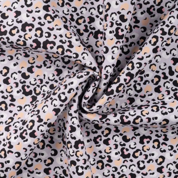 Leopard sur fond gris