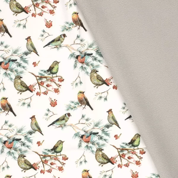 oiseau olgo sur fond écru